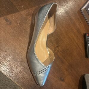 Elegant Silver Women's Shoe